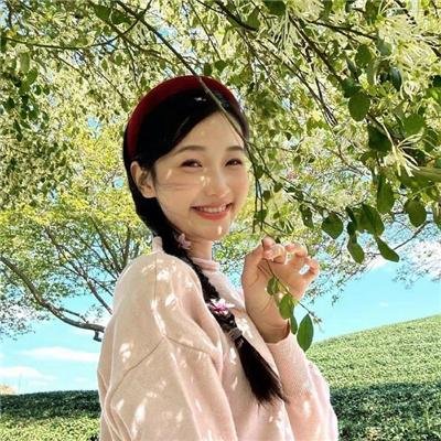 西塔福德之谜
